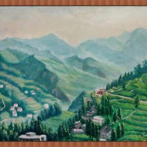 庄稼与群山