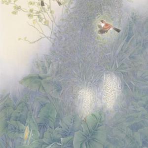 版纳之光