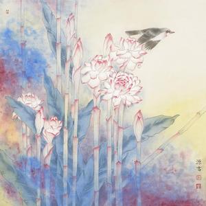 七彩云南
