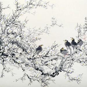 艳寒宜雨露