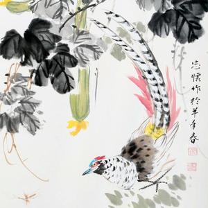 锦钓丝瓜