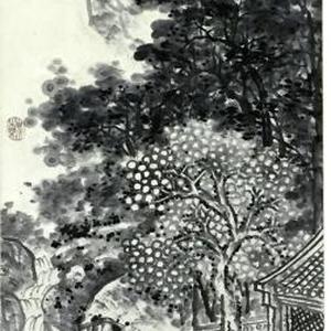 桃园望断无觅处