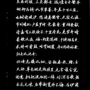 丁元亮毛笔-《柳词欣赏》