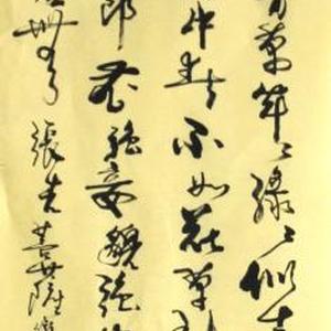 《张先菩萨满》