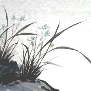 兰花