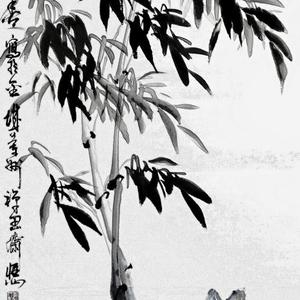 清影
