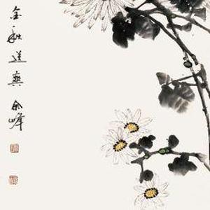 菊