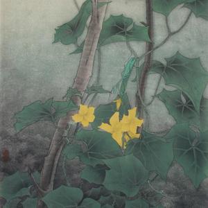 非春非秋