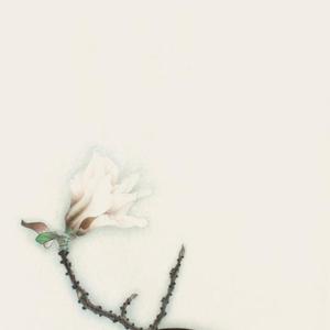 虚静