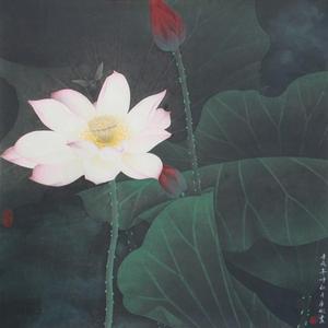 映月