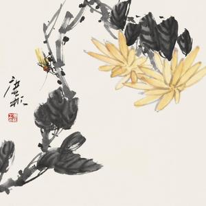 菊