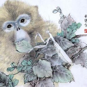 白螳螂