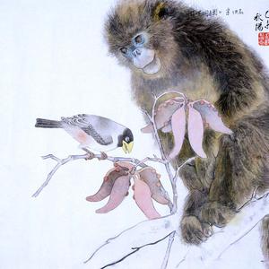 腊嘴桐子图