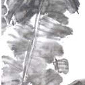 宋新成花鸟画欣赏