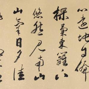 饮酒