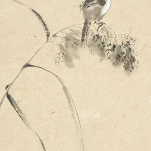 花鸟