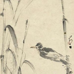 花鸟
