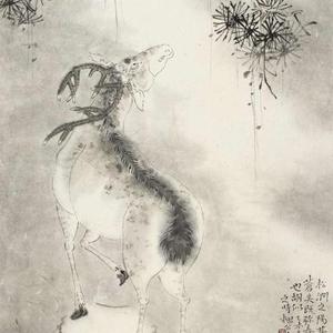 花鸟