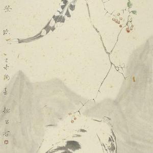 花鸟