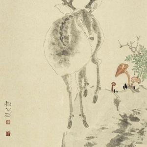 花鸟
