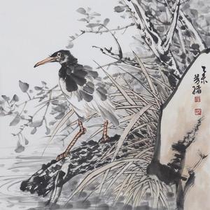 花鸟