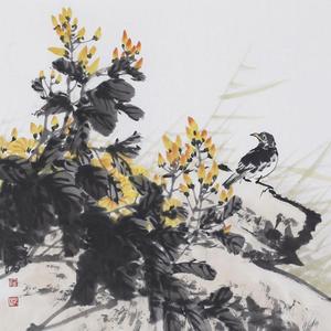 花鸟