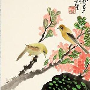 花鸟13号