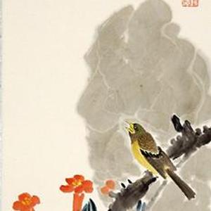 花鸟15号
