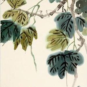 花鸟16号