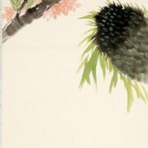 花鸟17号