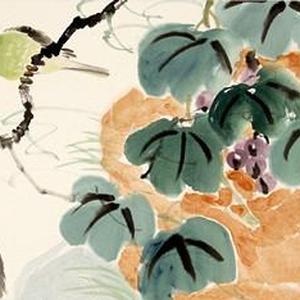 花鸟19号