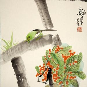 花鸟41号