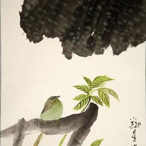 花鸟44