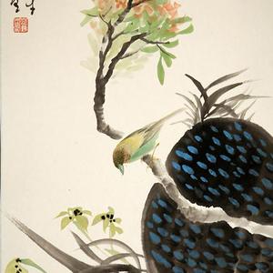 花鸟45
