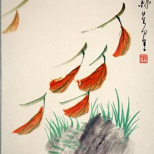 花鸟47