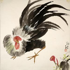 花鸟56号