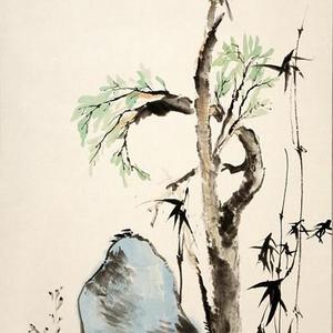 花鸟1号