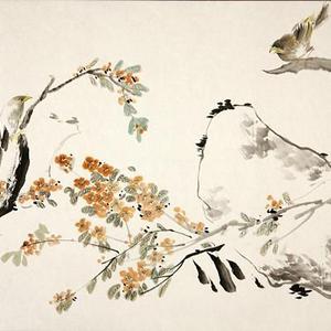 花鸟59号