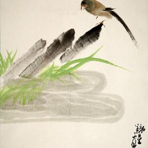 花鸟23号