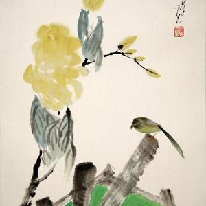 花鸟26号