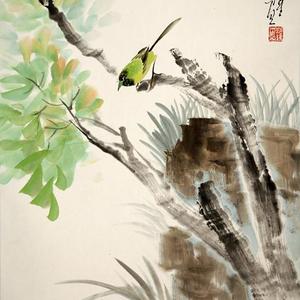 花鸟27号