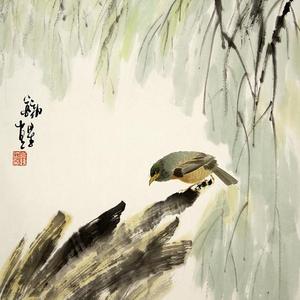 花鸟28号