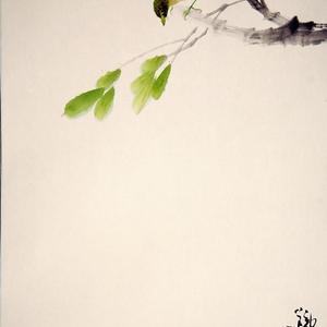 花鸟29号