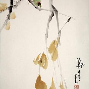 花鸟36号