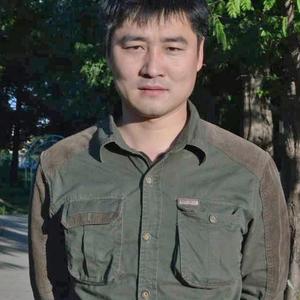 赵紫藤