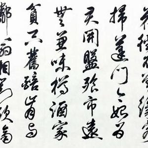 舍南舍水