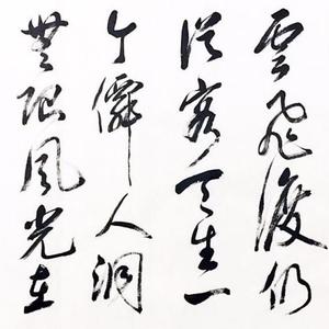 葛茯苓作品