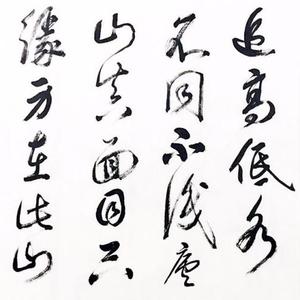 横看成岭侧成峰