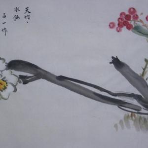 天竹水仙