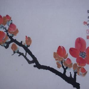 木棉花